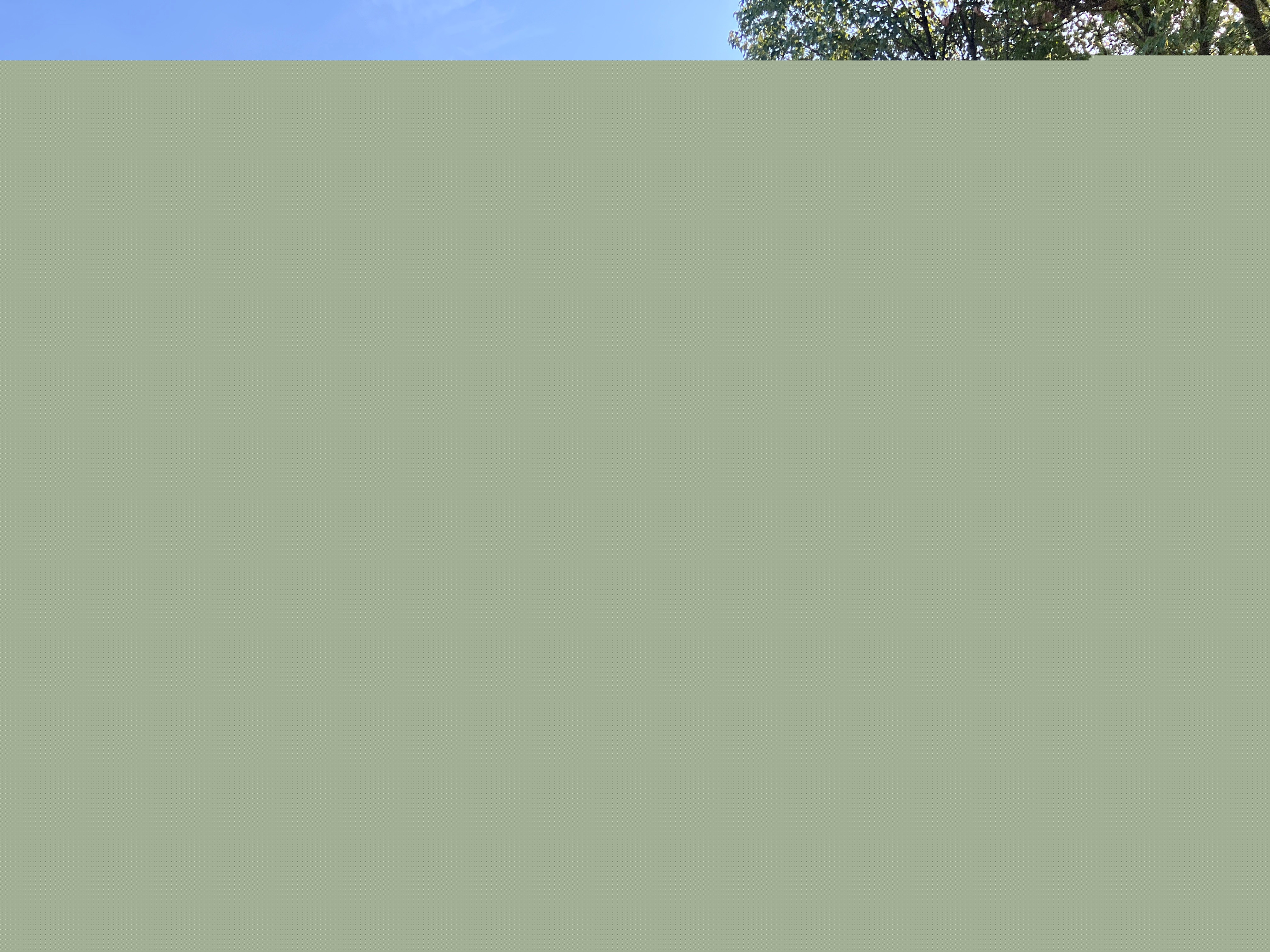 圖片關(guān)鍵詞